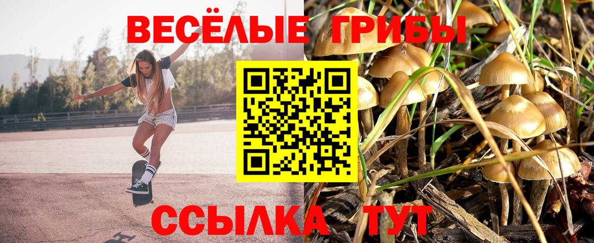 Гудермес  Псилоцибиновые грибы ЛСД  Вход с VPN 